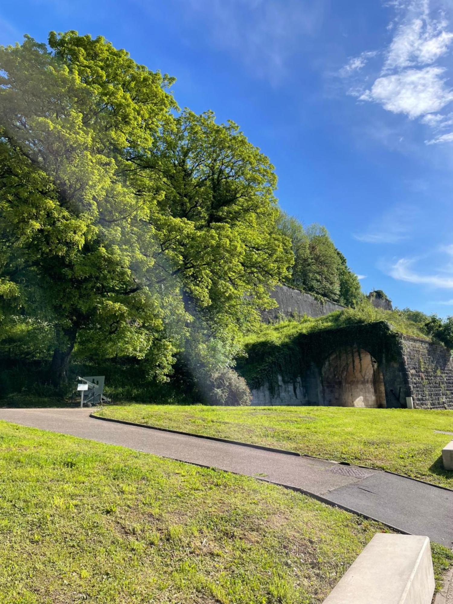 La Roche Leilighet Verdun-sur-Meuse Eksteriør bilde